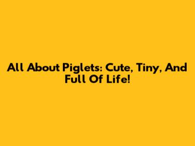 All About Piglets: Cute, Tiny, And Full Of Life!