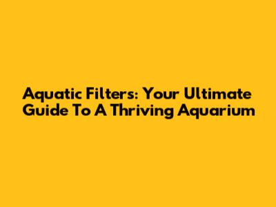 Aquatic Filters: Your Ultimate Guide To A Thriving Aquarium
