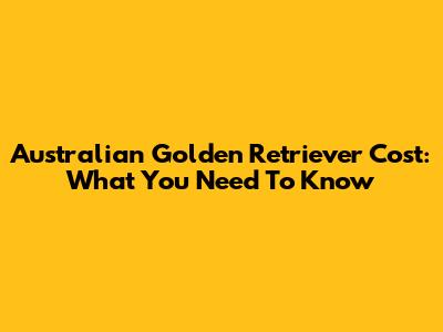 Australian Golden Retriever Cost: What You Need To Know