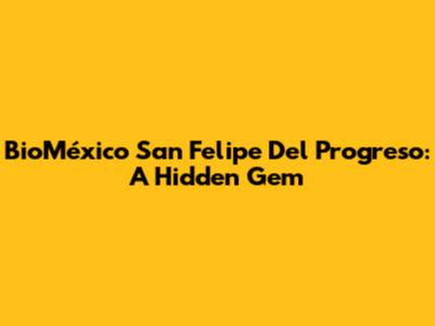 BioMéxico San Felipe Del Progreso: A Hidden Gem