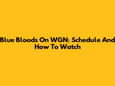 Blue Bloods On WGN: Schedule And How To Watch