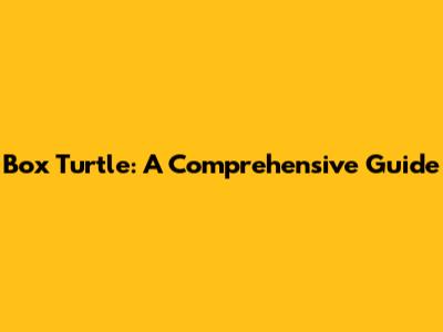 Box Turtle: A Comprehensive Guide