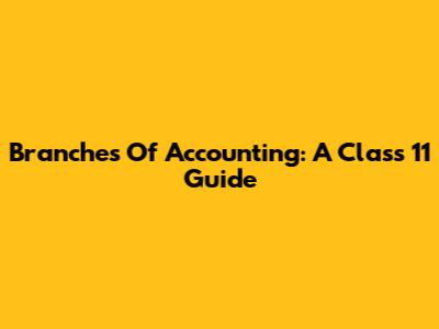 Branches Of Accounting: A Class 11 Guide