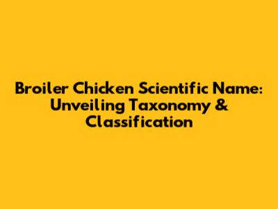 Broiler Chicken Scientific Name: Unveiling Taxonomy & Classification
