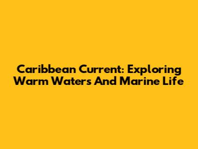 Caribbean Current: Exploring Warm Waters And Marine Life