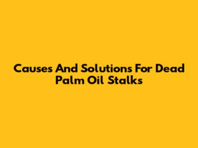 Causes And Solutions For Dead Palm Oil Stalks