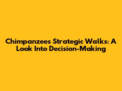 Chimpanzees' Strategic Walks: A Look Into Decision-Making