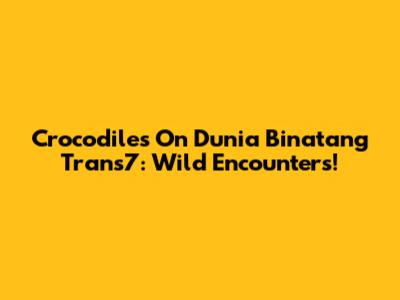 Crocodiles On Dunia Binatang Trans7: Wild Encounters!