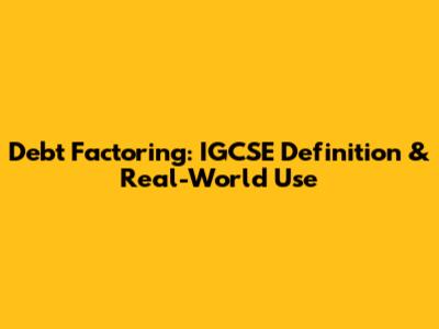 Debt Factoring: IGCSE Definition & Real-World Use