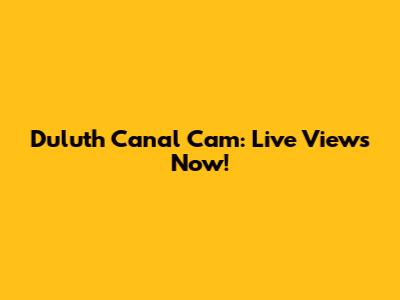 Duluth Canal Cam: Live Views Now!