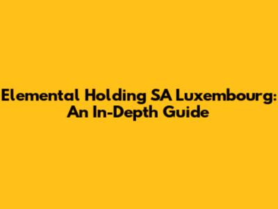 Elemental Holding SA Luxembourg: An In-Depth Guide