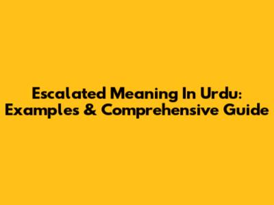 Escalated Meaning In Urdu: Examples & Comprehensive Guide