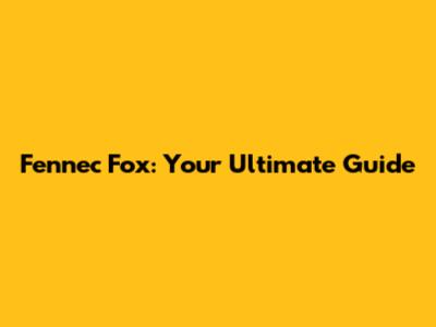 Fennec Fox: Your Ultimate Guide