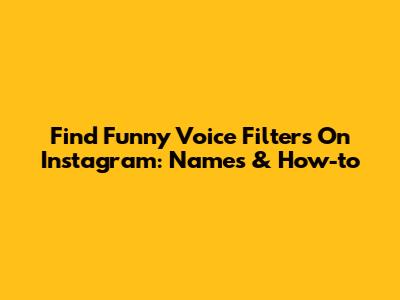 Find Funny Voice Filters On Instagram: Names & How-to