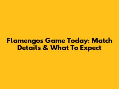 Flamengo's Game Today: Match Details & What To Expect