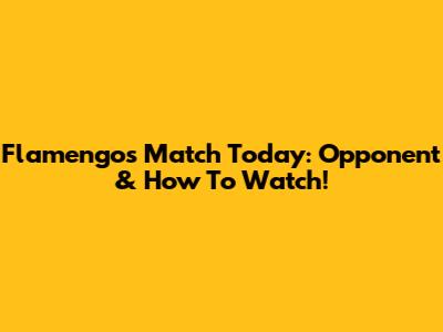 Flamengo's Match Today: Opponent & How To Watch!