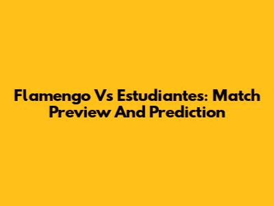 Flamengo Vs Estudiantes: Match Preview And Prediction