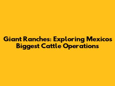 Giant Ranches: Exploring Mexico's Biggest Cattle Operations