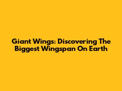 Giant Wings: Discovering The Biggest Wingspan On Earth