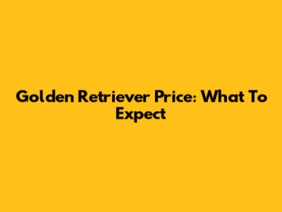 Golden Retriever Price: What To Expect