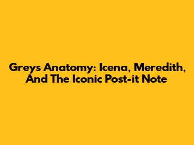 Grey's Anatomy: Icena, Meredith, And The Iconic Post-it Note