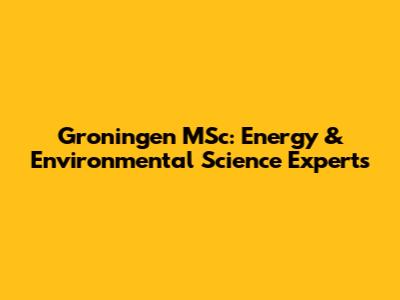 Groningen MSc: Energy & Environmental Science Experts