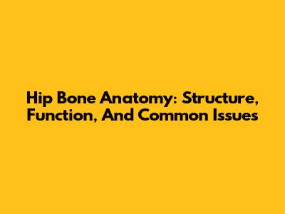 Hip Bone Anatomy: Structure, Function, And Common Issues