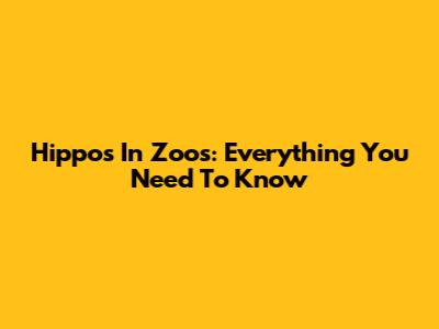 Hippos In Zoos: Everything You Need To Know