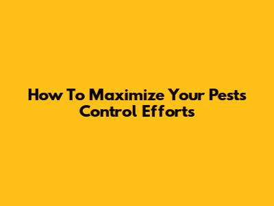 How To Maximize Your Pests Control Efforts