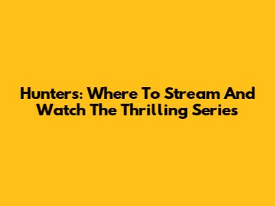 Hunters: Where To Stream And Watch The Thrilling Series