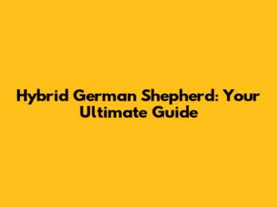 Hybrid German Shepherd: Your Ultimate Guide