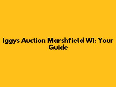 Iggy's Auction Marshfield WI: Your Guide