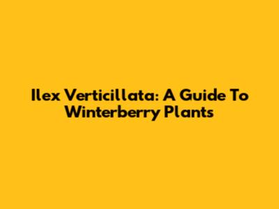 Ilex Verticillata: A Guide To Winterberry Plants