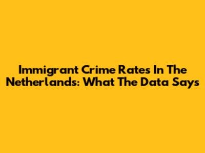 Immigrant Crime Rates In The Netherlands: What The Data Says
