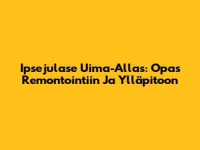 Ipsejulase Uima-Allas: Opas Remontointiin Ja Ylläpitoon
