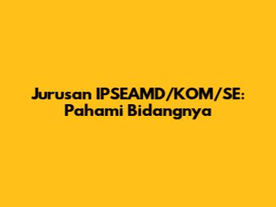 Jurusan IPSEAMD/KOM/SE: Pahami Bidangnya