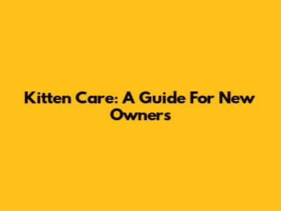 Kitten Care: A Guide For New Owners