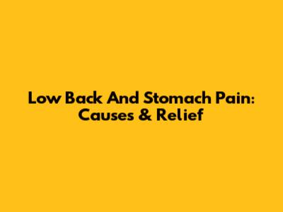 Low Back And Stomach Pain: Causes & Relief
