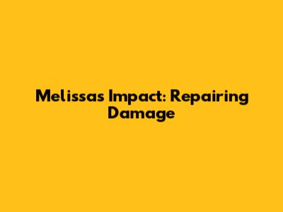 Melissa's Impact: Repairing Damage