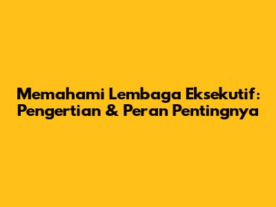 Memahami Lembaga Eksekutif: Pengertian & Peran Pentingnya