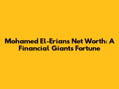 Mohamed El-Erian's Net Worth: A Financial Giant's Fortune