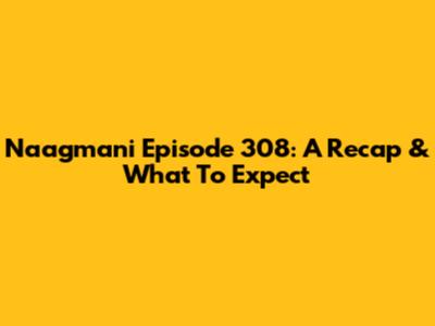 Naagmani Episode 308: A Recap & What To Expect