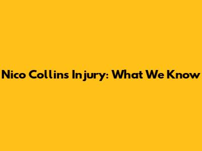 Nico Collins' Injury: What We Know