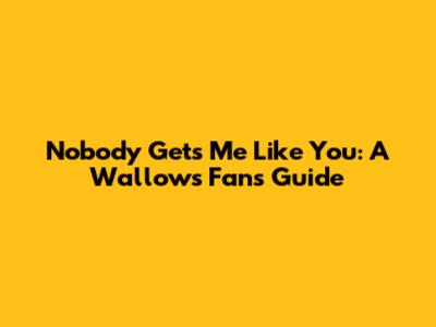 Nobody Gets Me Like You: A Wallows Fan's Guide