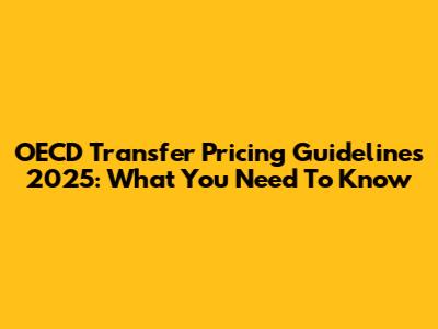 OECD Transfer Pricing Guidelines 2025: What You Need To Know