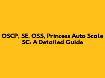 OSCP, SE, OSS, Princess Auto Scale SC: A Detailed Guide