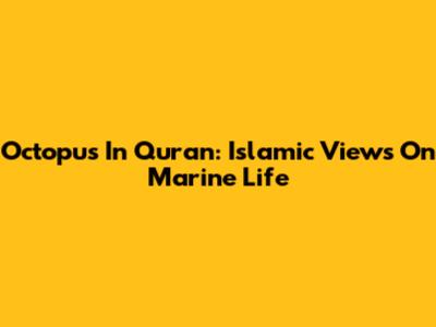 Octopus In Quran: Islamic Views On Marine Life