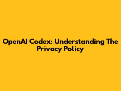 OpenAI Codex: Understanding The Privacy Policy