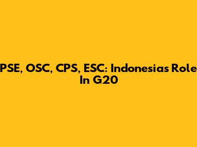 PSE, OSC, CPS, ESC: Indonesia's Role In G20