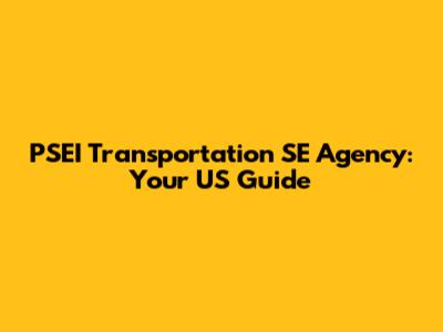 PSEI Transportation SE Agency: Your US Guide